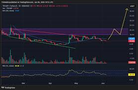 1.000 TL ile Bitcoin’e Girilir mi?