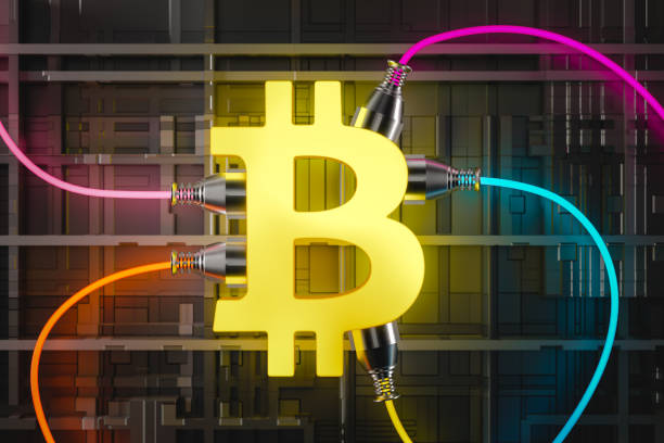 Kripto Cemaati Nasıl Oluştu?