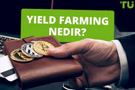 Kripto Para ile Pasif Gelir: Staking, Yield Farming, Lending