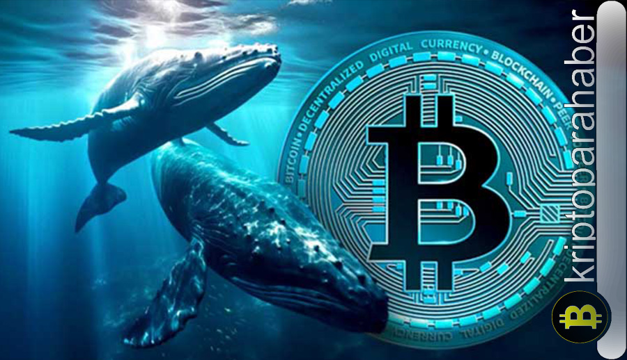 Kripto Balinaları BTC Satışta