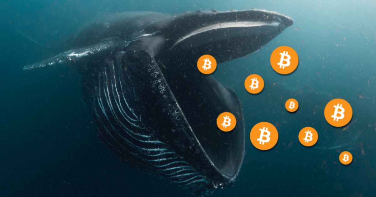 Dev Balina Satışı Bitcoin Rallisini Paramparça Etti