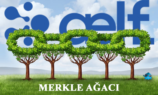 Merkle Tree Nedir? Blockchain Veri Doğrulama Sistemi
