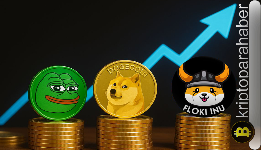 Meme coin patlaması: Floki, Doge ve yeni trendler